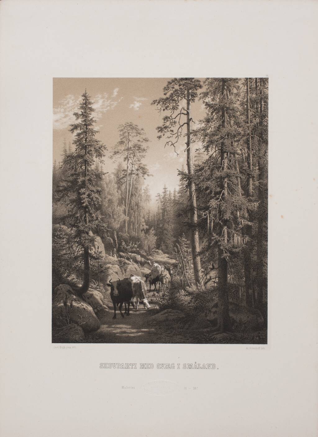 Skovparti med Kvæg i Småland by Adolph Kittendorff
